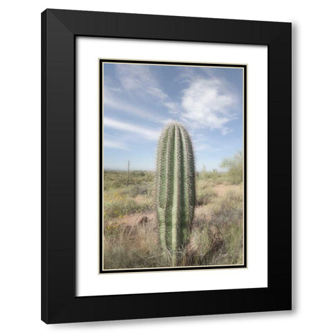 Saguaro Black Modern Wood Framed Art Print with Double Matting by Majchrowicz, Alan