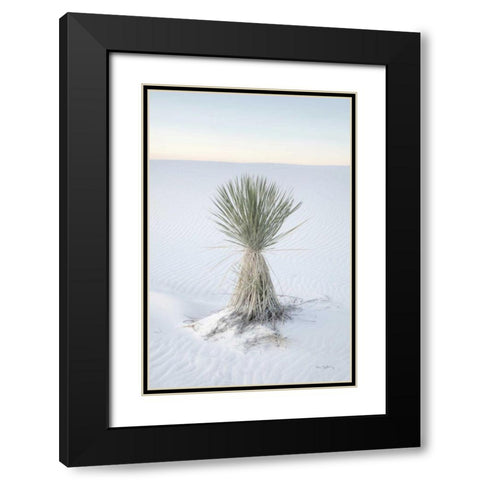 Yucca in White Sands National Monument Black Modern Wood Framed Art Print with Double Matting by Majchrowicz, Alan