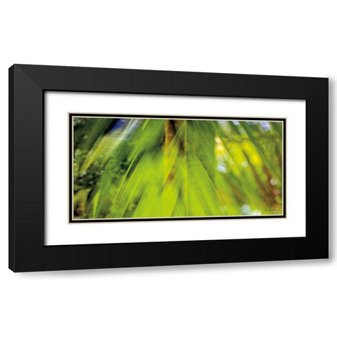 Palm Abstract Black Modern Wood Framed Art Print with Double Matting by Goldstein, Ed