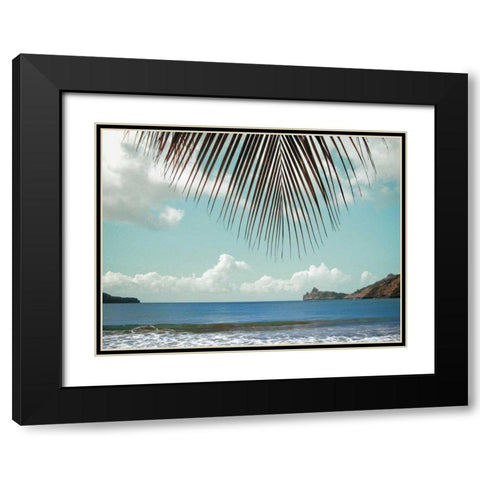 Palm Seashore Black Modern Wood Framed Art Print with Double Matting by Goldstein, Ed