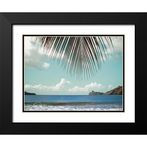 Palm Seashore Black Modern Wood Framed Art Print with Double Matting by Goldstein, Ed
