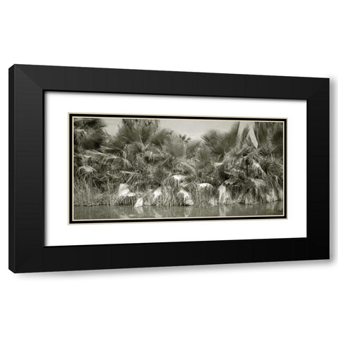 Water Palms Black Modern Wood Framed Art Print with Double Matting by Goldstein, Ed