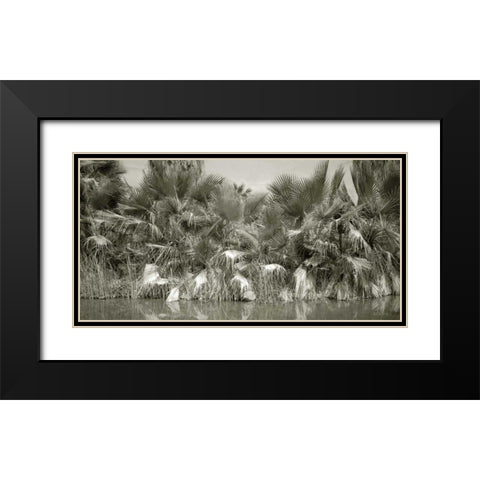 Water Palms Black Modern Wood Framed Art Print with Double Matting by Goldstein, Ed