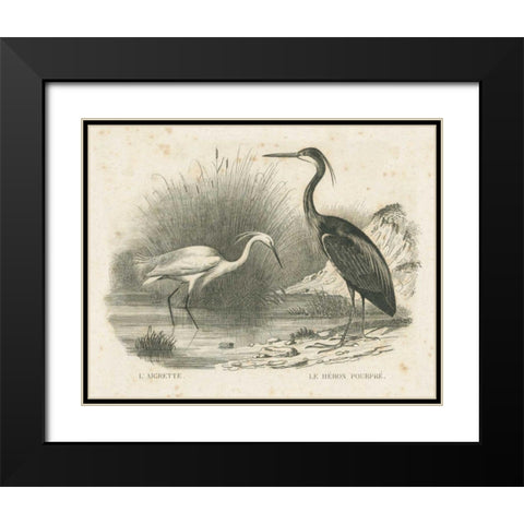 French Birds II Black Modern Wood Framed Art Print with Double Matting by Wild Apple Portfolio