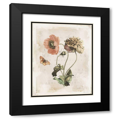 Antiquarian Blooms IV Black Modern Wood Framed Art Print with Double Matting by Pertiet, Katie
