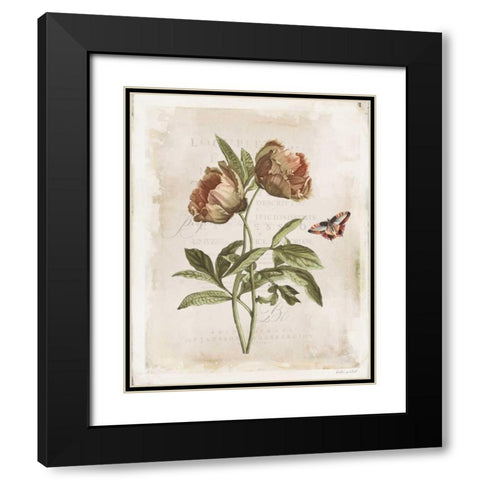 Antiquarian Blooms VI Black Modern Wood Framed Art Print with Double Matting by Pertiet, Katie