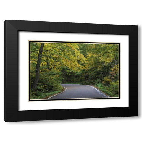 Smugglers Notch Road Black Modern Wood Framed Art Print with Double Matting by Majchrowicz, Alan