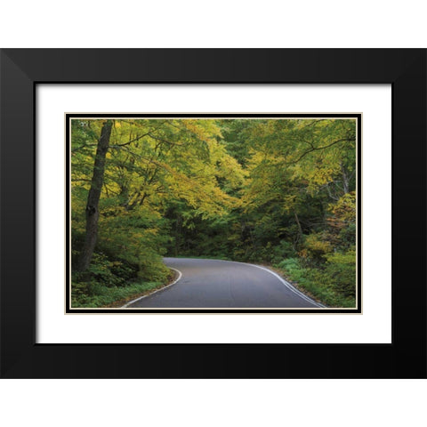Smugglers Notch Road Black Modern Wood Framed Art Print with Double Matting by Majchrowicz, Alan