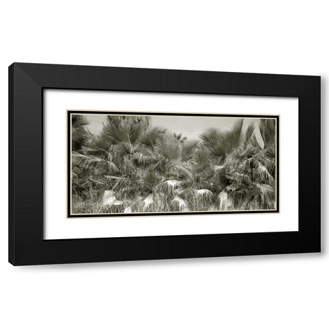 Water Palms Crop Black Modern Wood Framed Art Print with Double Matting by Goldstein, Ed