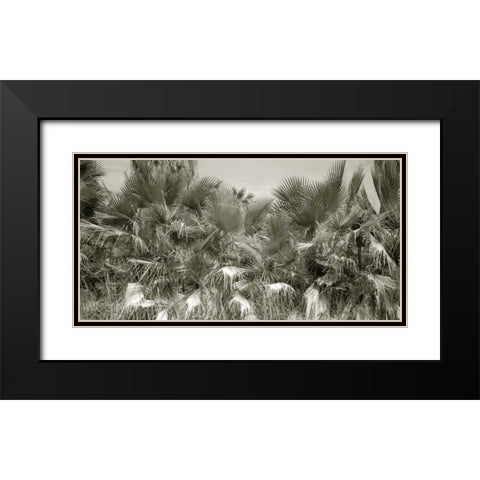 Water Palms Crop Black Modern Wood Framed Art Print with Double Matting by Goldstein, Ed