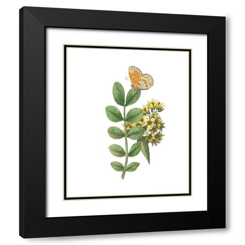 Greenery Butterflies II Black Modern Wood Framed Art Print with Double Matting by Wild Apple Portfolio