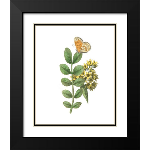 Greenery Butterflies II Black Modern Wood Framed Art Print with Double Matting by Wild Apple Portfolio