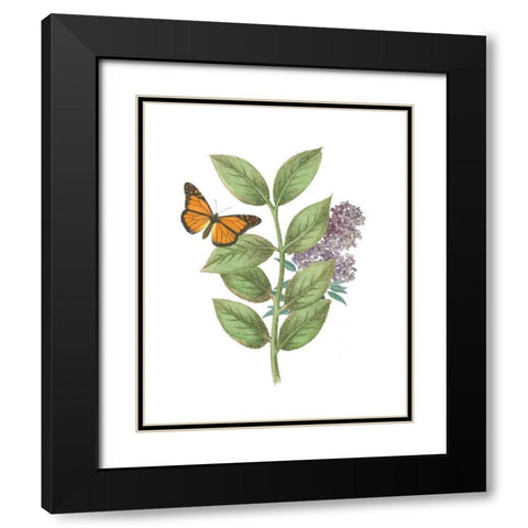Greenery Butterflies III Black Modern Wood Framed Art Print with Double Matting by Wild Apple Portfolio