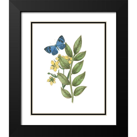 Greenery Butterflies IV Black Modern Wood Framed Art Print with Double Matting by Wild Apple Portfolio