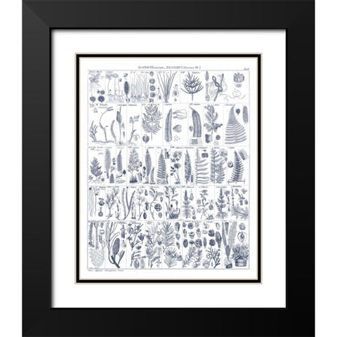 Fern Chart on White Navy Black Modern Wood Framed Art Print with Double Matting by Wild Apple Portfolio