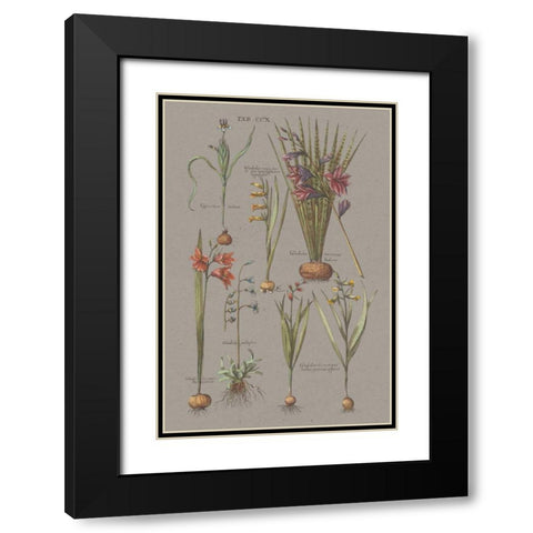 Florilegium III Gray Black Modern Wood Framed Art Print with Double Matting by Wild Apple Portfolio