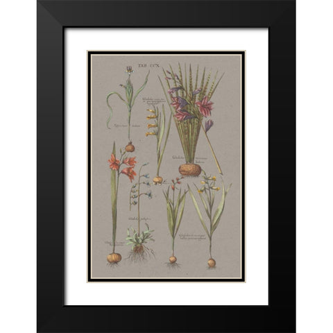 Florilegium III Gray Black Modern Wood Framed Art Print with Double Matting by Wild Apple Portfolio