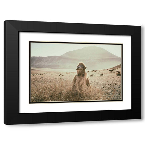 Desert Camel Black Modern Wood Framed Art Print with Double Matting by Aledanda