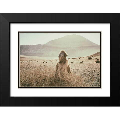 Desert Camel Black Modern Wood Framed Art Print with Double Matting by Aledanda