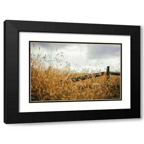 Fencerow Black Modern Wood Framed Art Print with Double Matting by Aledanda