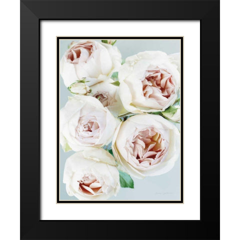 Early David Austin Roses Black Modern Wood Framed Art Print with Double Matting by Catterall, Elise