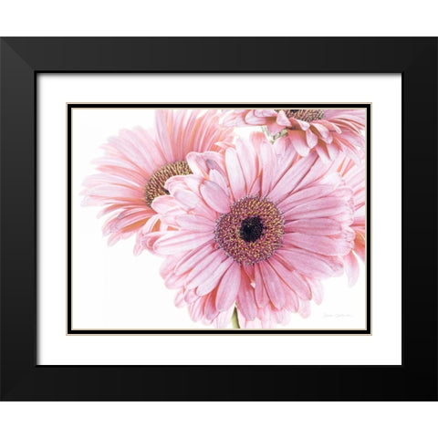 Pastel Gerbera Daisies Black Modern Wood Framed Art Print with Double Matting by Catterall, Elise