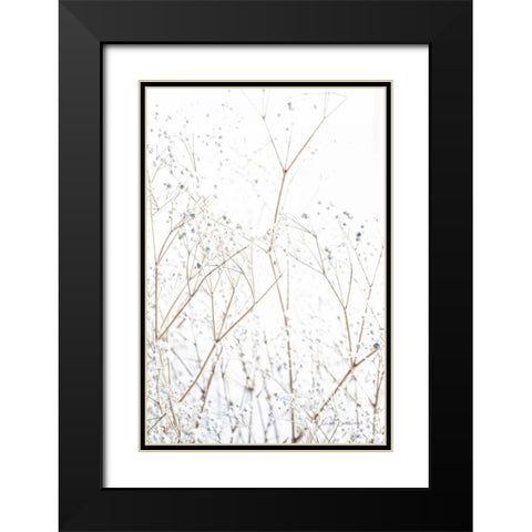 Gypsophila Black Modern Wood Framed Art Print with Double Matting by Catterall, Elise