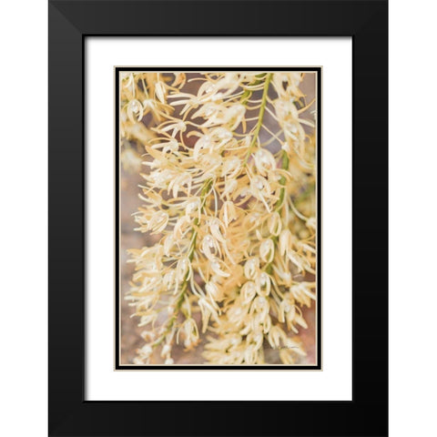 Orchid Detail Black Modern Wood Framed Art Print with Double Matting by Catterall, Elise