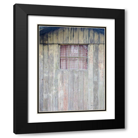 Checkered Barn Black Modern Wood Framed Art Print with Double Matting by Goldstein, Ed