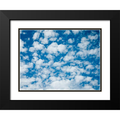 Powder Puff Skies Black Modern Wood Framed Art Print with Double Matting by Goldstein, Ed