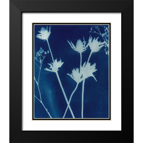 Enchanted Cyanotype I Black Modern Wood Framed Art Print with Double Matting by Green, Nancy