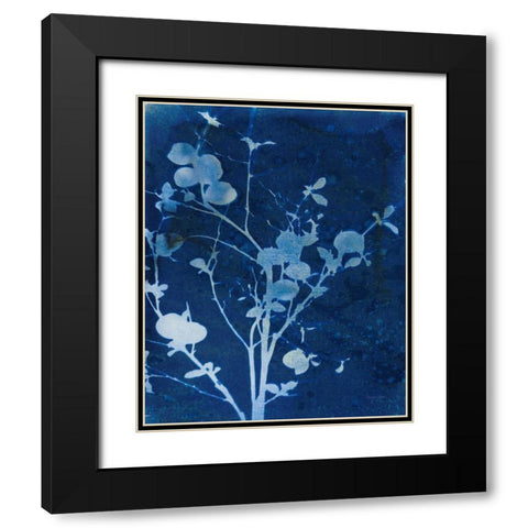 Enchanted Cyanotype VI Black Modern Wood Framed Art Print with Double Matting by Green, Nancy