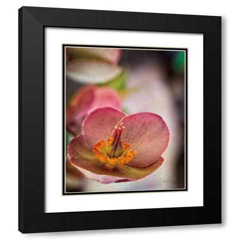 Lenton Rose III Black Modern Wood Framed Art Print with Double Matting by Van Swearingen, Debra