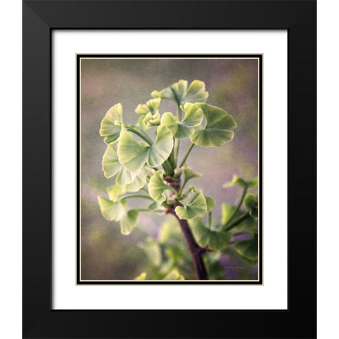 Sprouting Ginkgo I Black Modern Wood Framed Art Print with Double Matting by Van Swearingen, Debra