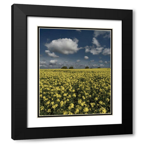 Yellow Fields Black Modern Wood Framed Art Print with Double Matting by Eichman, Andre