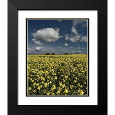 Yellow Fields Black Modern Wood Framed Art Print with Double Matting by Eichman, Andre