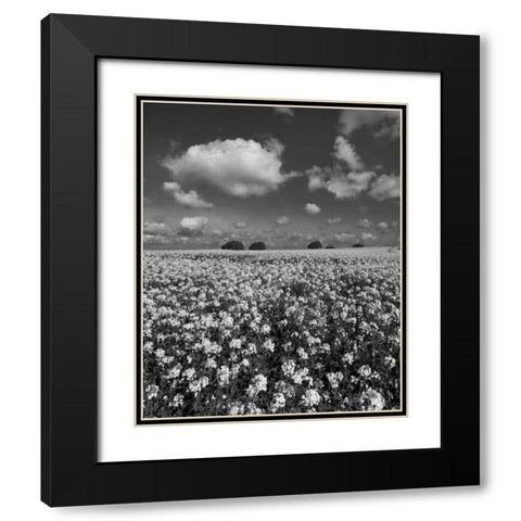 Yellow Fields BW Black Modern Wood Framed Art Print with Double Matting by Eichman, Andre