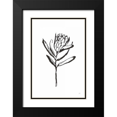 Line Protea I Black Modern Wood Framed Art Print with Double Matting by Paschke, Chris