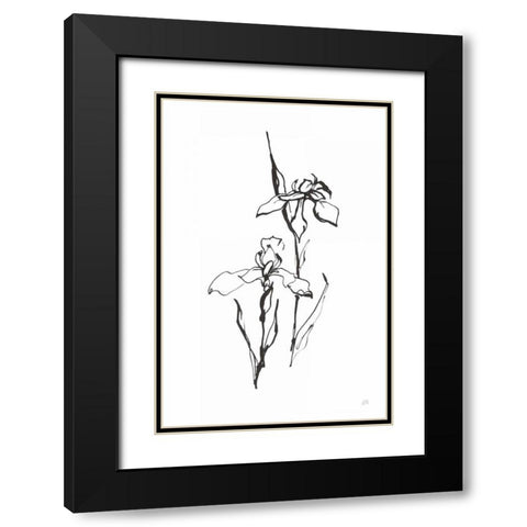 Line Iris II Black Modern Wood Framed Art Print with Double Matting by Paschke, Chris