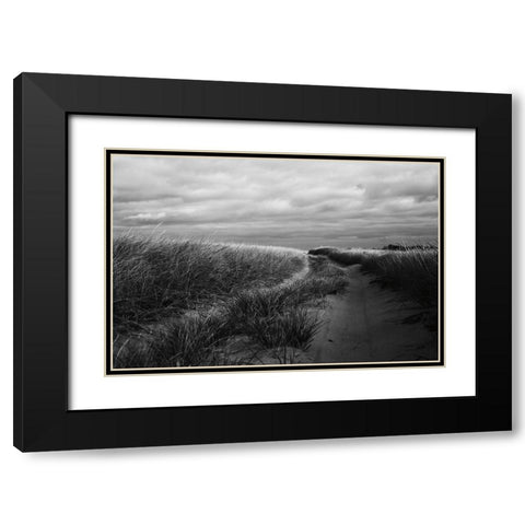 Beach Grasses Black Modern Wood Framed Art Print with Double Matting by Aledanda