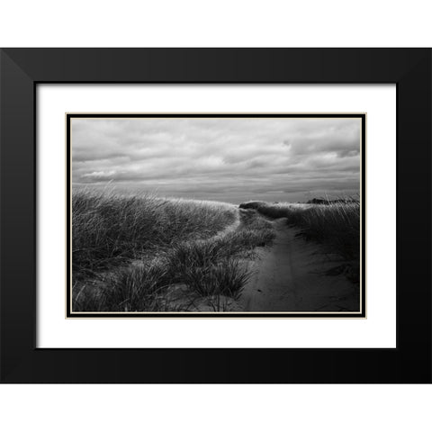 Beach Grasses Black Modern Wood Framed Art Print with Double Matting by Aledanda