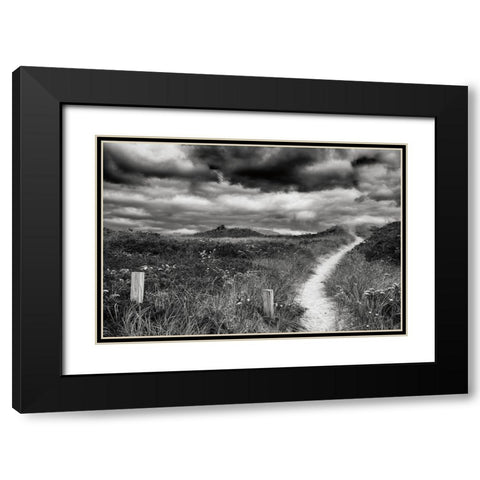Nantucket Pathway Black Modern Wood Framed Art Print with Double Matting by Aledanda