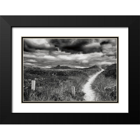 Nantucket Pathway Black Modern Wood Framed Art Print with Double Matting by Aledanda