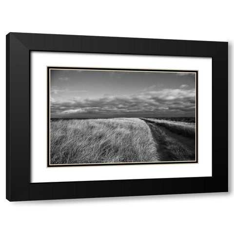 Road to the Beach Black Modern Wood Framed Art Print with Double Matting by Aledanda