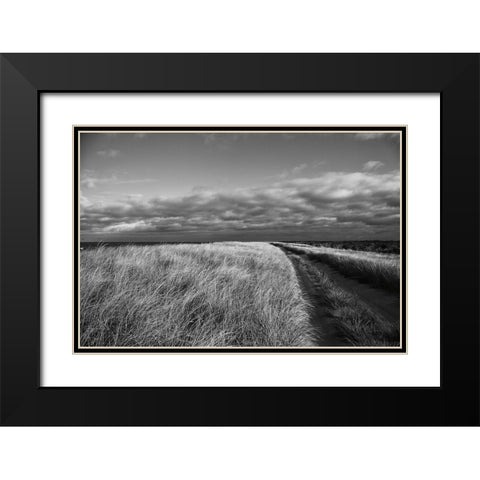 Road to the Beach Black Modern Wood Framed Art Print with Double Matting by Aledanda