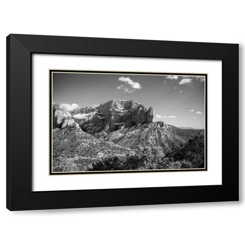 Timber Top Black Modern Wood Framed Art Print with Double Matting by Marshall, Laura