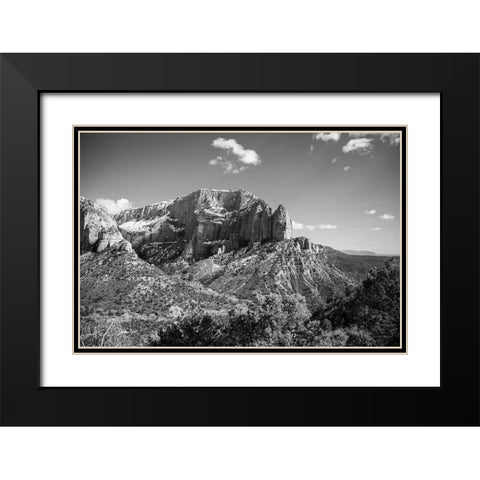 Timber Top Black Modern Wood Framed Art Print with Double Matting by Marshall, Laura