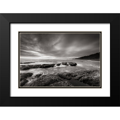 Kalaloch Beach Black Modern Wood Framed Art Print with Double Matting by Majchrowicz, Alan