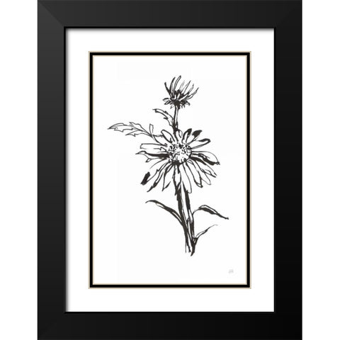 Line Echinacea I Black Modern Wood Framed Art Print with Double Matting by Paschke, Chris