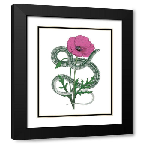 Natural Beauty I Pink Flower Black Modern Wood Framed Art Print with Double Matting by Wild Apple Portfolio